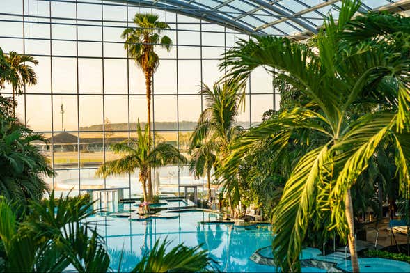Escursione al centro benessere Therme