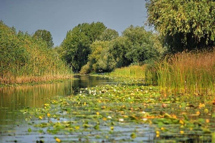 Le tranquille acque del Delta del Danubio